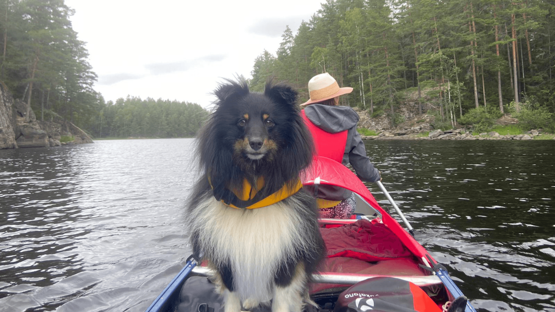 Unsere Kanu-Reise mit Hund