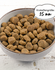Grau Hund Geflügel