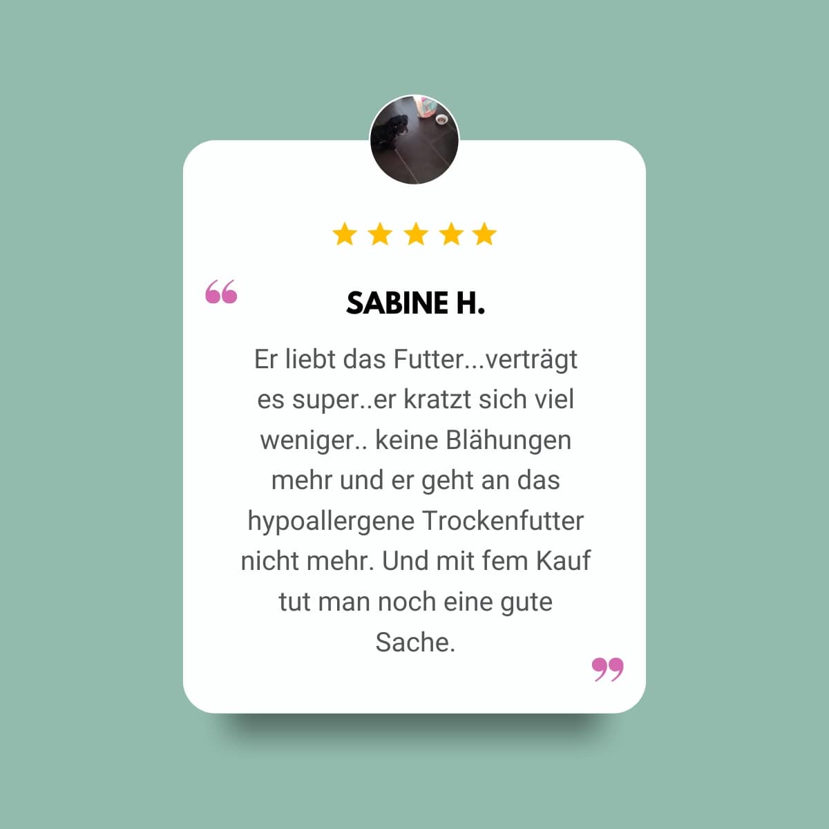 HappyFeedbag Freilandrind kaltgepresst & naturbasiert zoo-de
