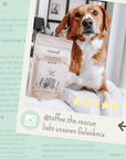 noms+ Gelenkmix Sensitiv & vegan für Hunde und Katzen mit Teufelskralle, Kurkuma & Glucosamin
