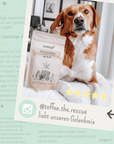 noms+ Gelenkmix Sensitiv & vegan für Hunde und Katzen mit Teufelskralle, Kurkuma & Glucosamin