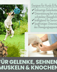 noms+ Gelenkmix Sensitiv & vegan für Hunde und Katzen mit Teufelskralle, Kurkuma & Glucosamin