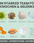 noms+ Gelenkmix Sensitiv & vegan für Hunde und Katzen mit Teufelskralle, Kurkuma & Glucosamin