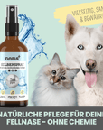 noms+ Silberspray für Hunde und Katzen mit 50ppm (MHD 12/25)