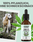 noms+ 10% CBD Tropfen für Hunde