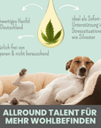 noms+ 15% CBD Tropfen für Hunde und Pferde