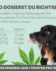 noms+ 10% CBD Tropfen für Hunde