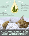 noms+ 3% CBD Tropfen für Katzen und kleine Hunde