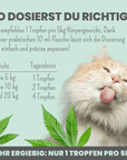 noms+ 3% CBD Tropfen für Katzen und kleine Hunde