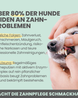 noms+ Enzymodent: Enzymatische Zahnpasta für Hunde mit natürlicher Pflege- und Präventionsformel