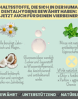 noms+ Enzymodent: Enzymatische Zahnpasta für Hunde mit natürlicher Pflege- und Präventionsformel