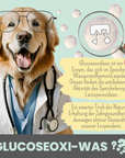 noms+ Enzymodent: Enzymatische Zahnpasta für Hunde mit natürlicher Pflege- und Präventionsformel