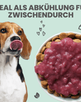 noms+ Hunde Smoothie-Bowl: Der fruchtig frische Elektrolyt-Booster