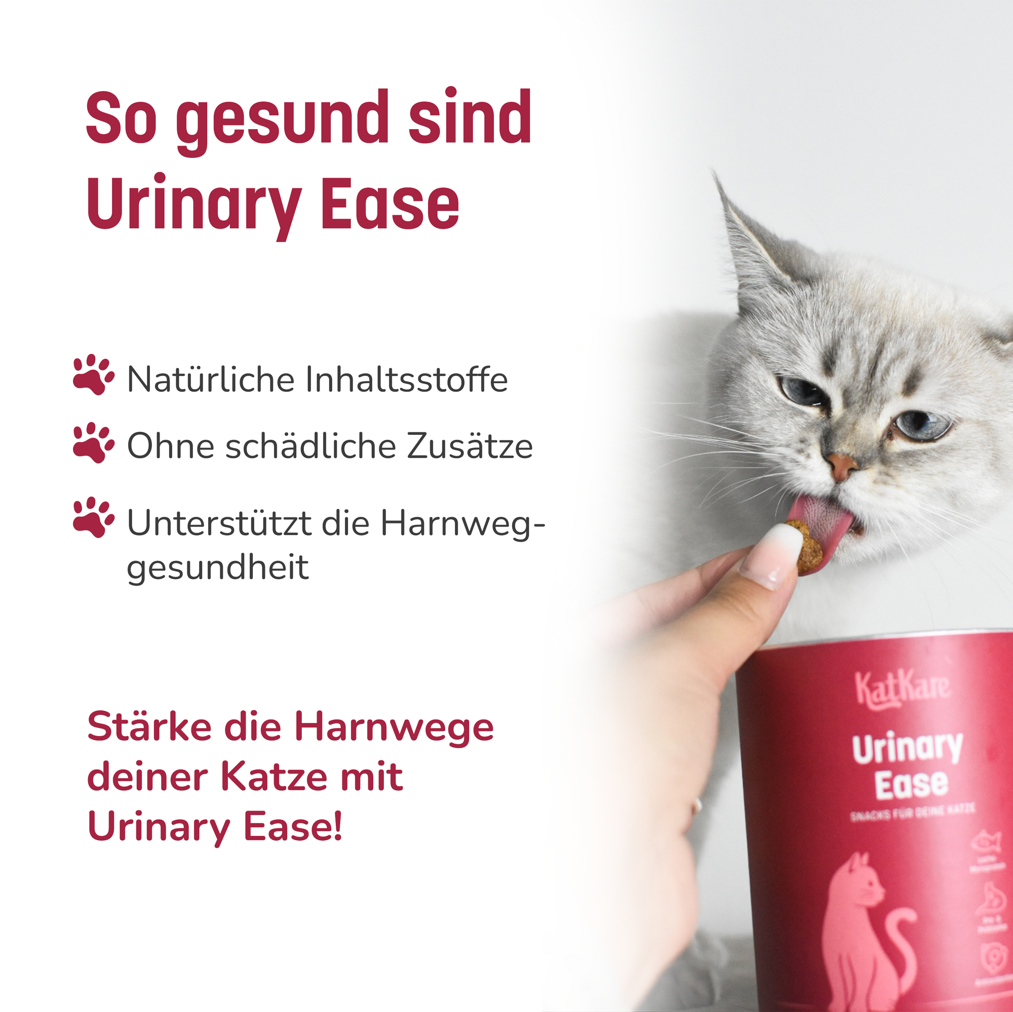 Urinary Ease Gen 2 - Crunchy Bites für gesunde Nieren und Blase