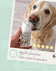noms+ Enzymodent: Enzymatische Zahnpasta für Hunde mit natürlicher Pflege- und Präventionsformel