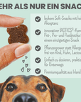 noms+ Probio Belly Snacks für Hunde mit BIOTICS³-Komplex: Präbiotika, Probiotika & Postbiotika