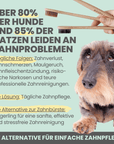 noms+ Silberling: Antibakterieller Zahnpflege-Fingerling für Hunde mit Silberionen