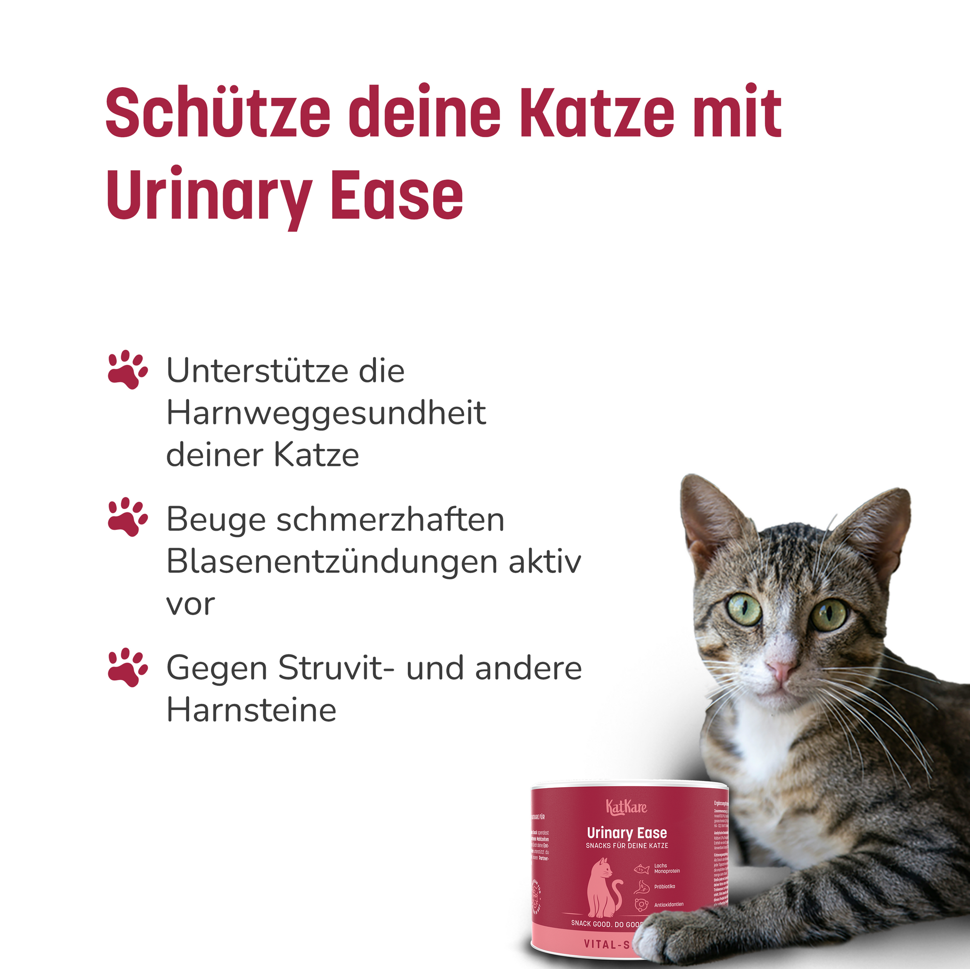 Urinary Ease Gen 2 - Crunchy Bites für gesunde Nieren und Blase