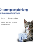 KatKare - Sardine Essential - Hypoallergene Snacks aus gefriergetrockneter Sardine