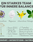 noms+ Wohlfühltabs für Hunde bei Stress, Angst, Unruhe und Hyperaktivität, Tabletten
