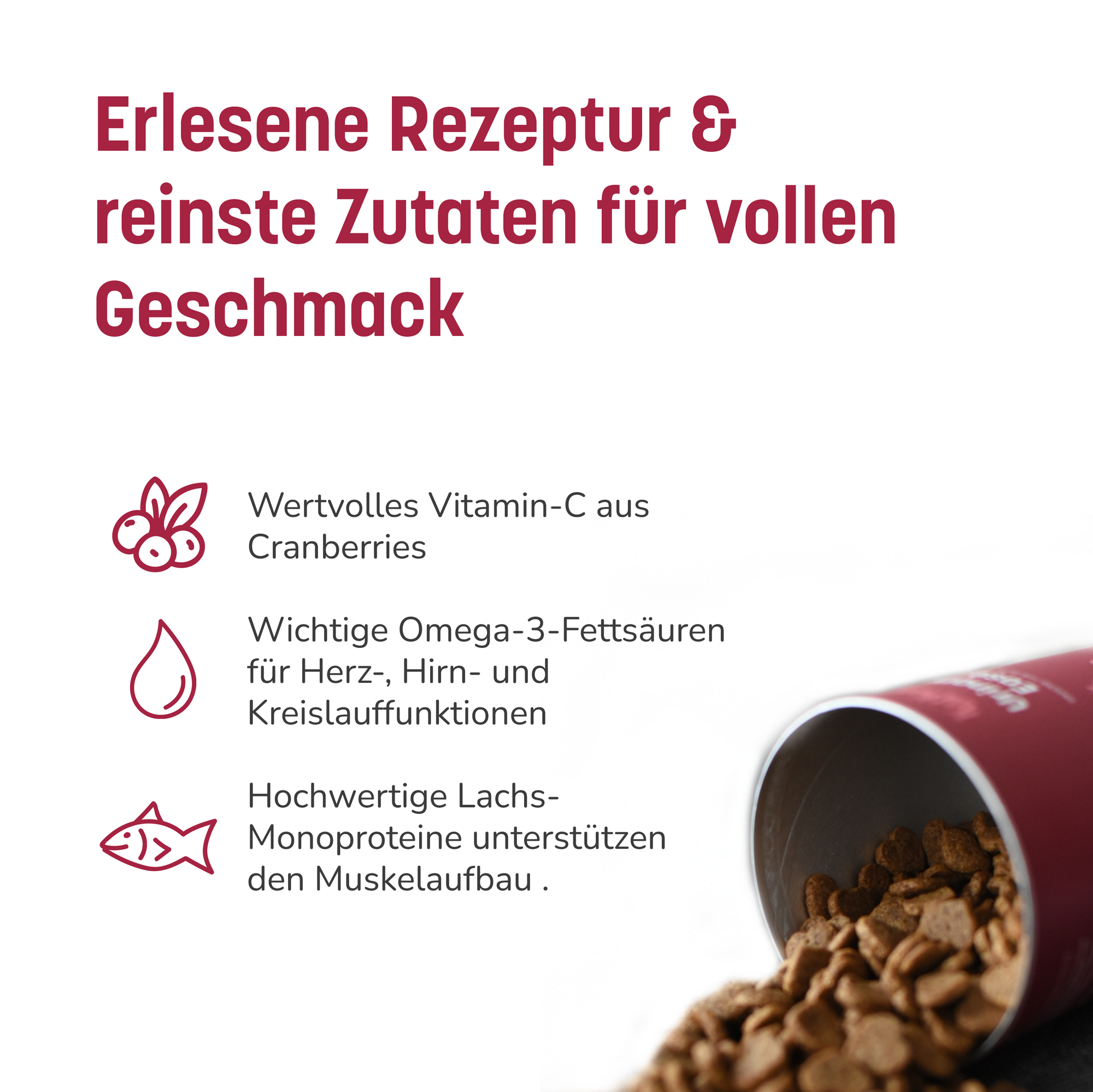 Urinary Ease Gen 2 - Crunchy Bites für gesunde Nieren und Blase