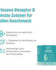 KatKare - Calm Cat - Vital Snack zur natürlichen Beruhigung deiner Katze (150 g)