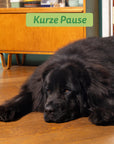 Edgard Cooper Hund Frisches Lamm L