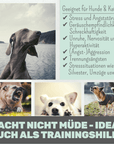 noms+ Wohlfühlmix für Hunde & Katzen bei Stress, Angst, Unruhe & Hyperaktivität