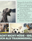 noms+ Wohlfühlmix für Hunde & Katzen bei Stress, Angst, Unruhe & Hyperaktivität