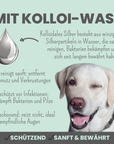 noms+ 2-in-1 Augenfein Reinigung & Pflege für Hunde & Katzen mit kolloidalem Silber