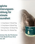 KatKare - Immuno Bites - Vital Snack zur Stärkung des Immunsystems deiner Katze (150 g)