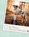noms+ Verdauungsmix für Hunde als Probiotikum für Magen- & Darmflora