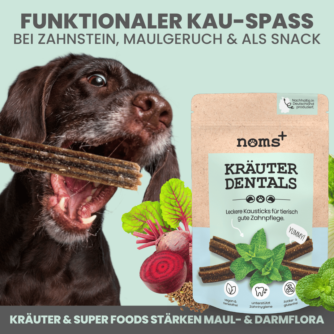 noms+ Kräuter Dentals für Hunde zur Zahn- und Darmpflege (150g)