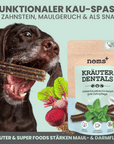 noms+ Kräuter Dentals für Hunde zur Zahn- und Darmpflege (150g)