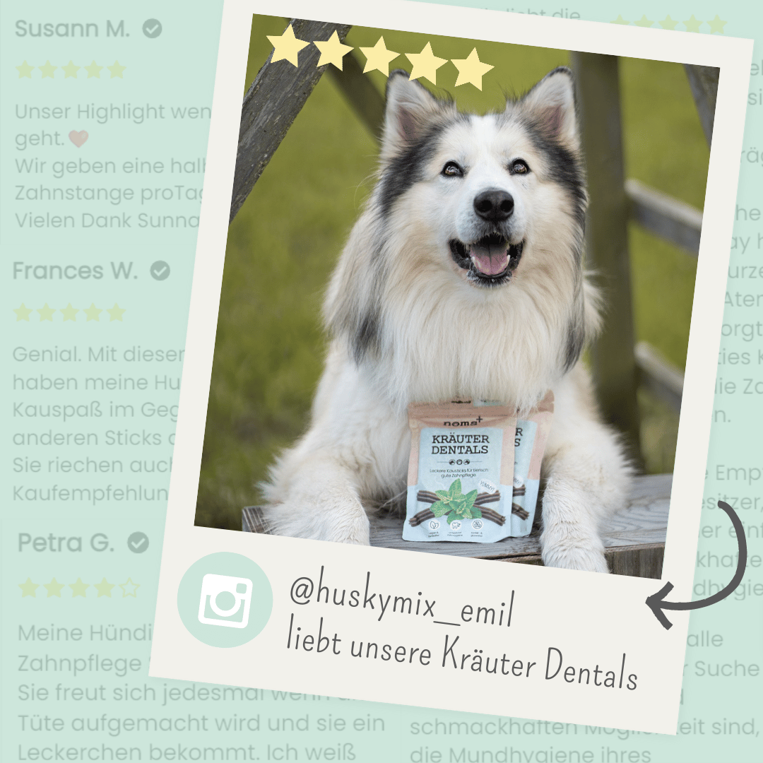 noms+ Kräuter Dentals für Hunde zur Zahn- und Darmpflege (150g)