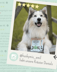 noms+ Kräuter Dentals für Hunde zur Zahn- und Darmpflege (150g)