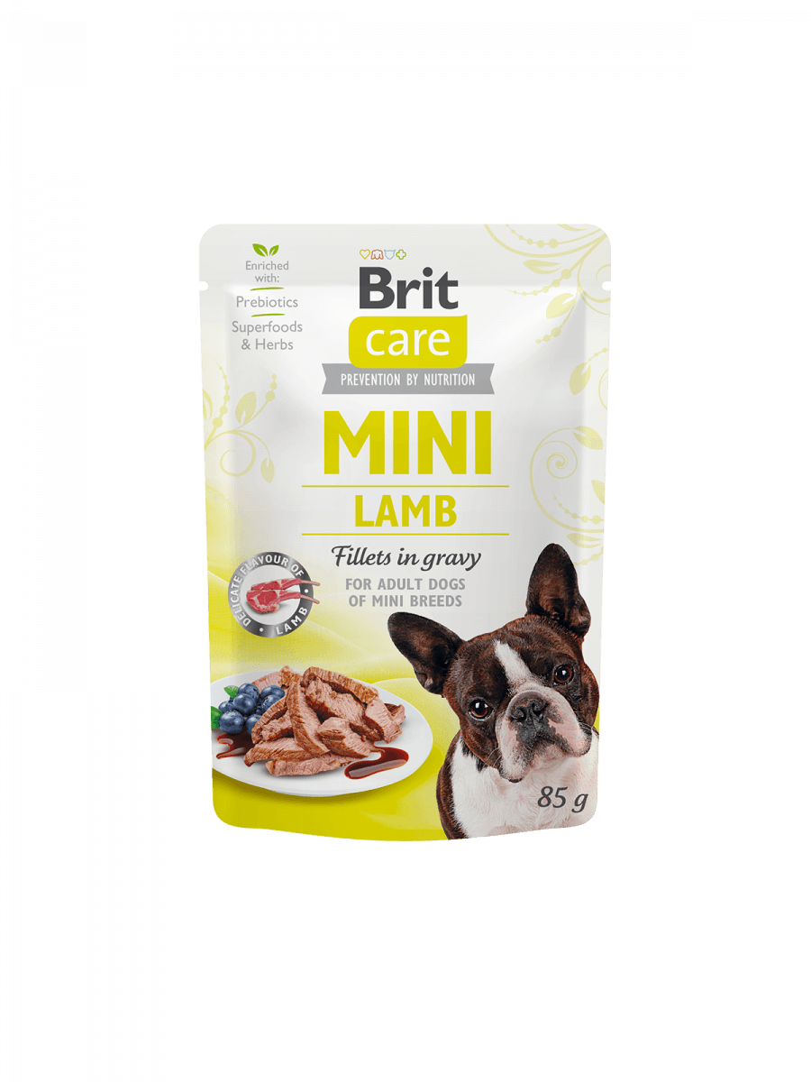 BRIT Care Mini Grainfree Hund Nassfutter Lamb Fillets in ... – zoo.de