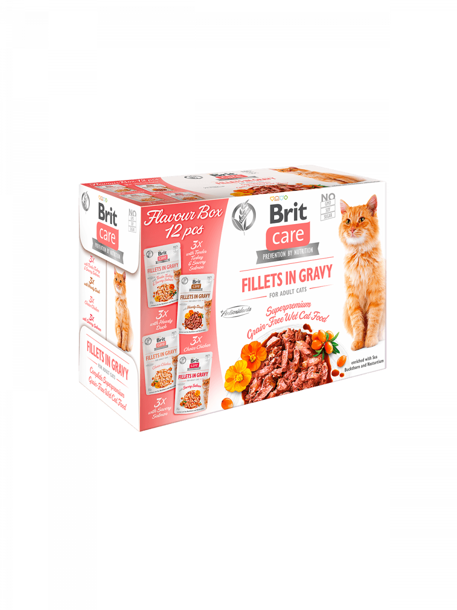 BRIT Care Nassfutter Katze Flavour box