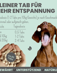 noms+ Wohlfühltabs für Hunde bei Stress, Angst, Unruhe und Hyperaktivität, Tabletten