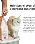 KatKare - Crystal Clean - Smarte Katzenstreu mit Gesundheitsindikator
