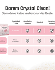 KatKare - Crystal Clean - Smarte Katzenstreu mit Gesundheitsindikator