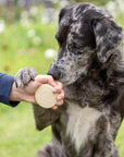 Doderm Shampoo Bar Pet