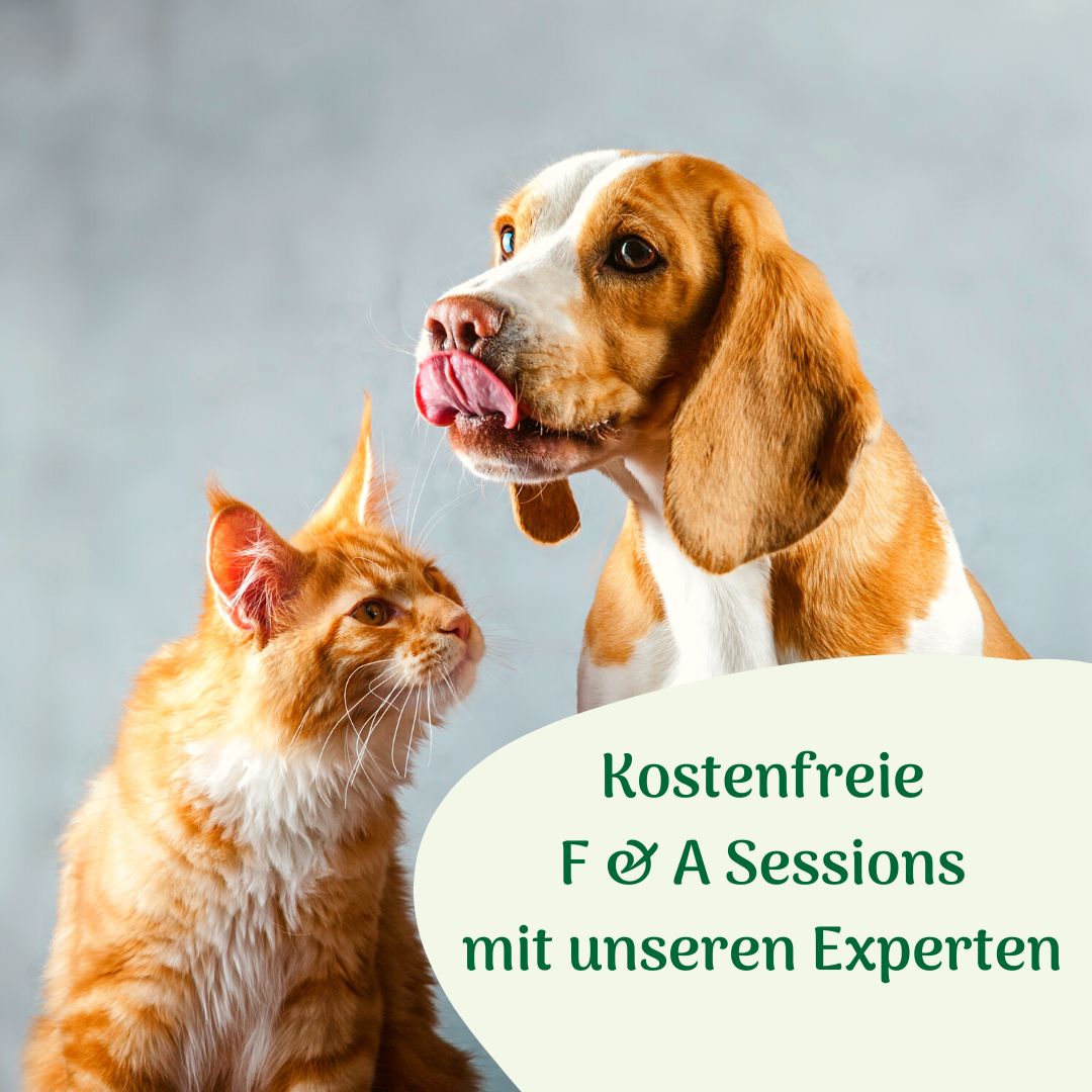 F_A_Session - zoo.de