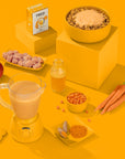FRED Smoothie Huhn mit Kurkuma Ergänzungsfutter für Hunde, Zutaten im Überblick