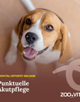 Hund neben zooVital Hotspot-Balsam zur punktuellen Hautpflege