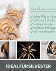 noms+ 3% CBD Tropfen für Katzen und kleine Hunde