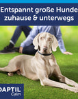 Adaptil Calm Halsband für Hunde