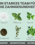 noms+ Dentalmix für Hunde zur Zahnpflege und für frischen Atem
