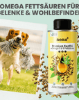 noms+ Kaltgepresstes Hanföl