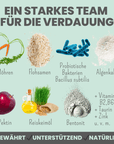 noms+ Verdauungsmix für Hunde als Probiotikum für Magen- & Darmflora